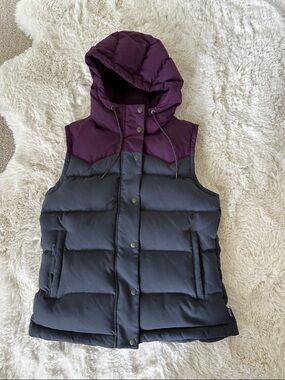 Patagonia Bivy Hooded Vest